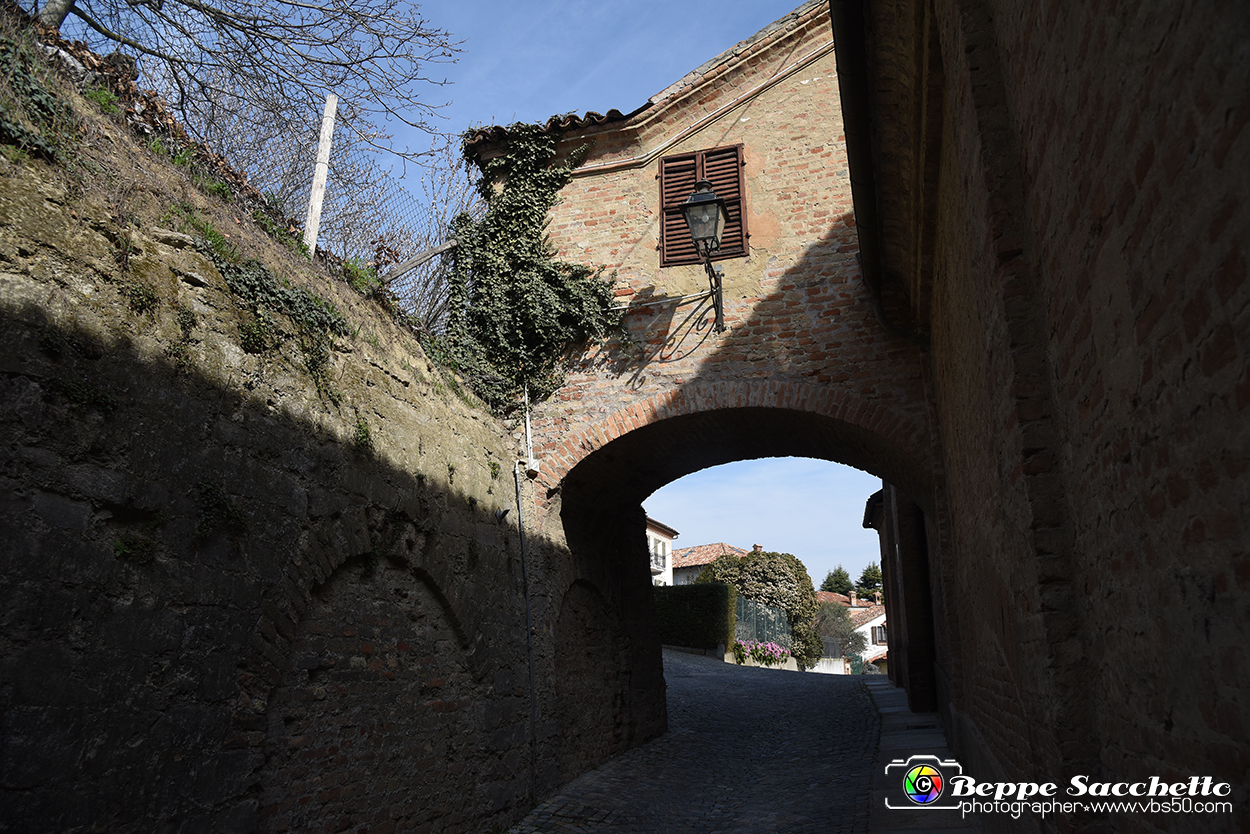 VBS_7632 - Snodi. Colline co-creative di Langhe, Roero e Monferrato.jpg